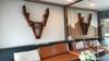 listing thumbnail image 22
