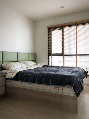 รูป T1229 คอนโดให้เช่า Life Sukhumvit 48 (ไลฟ์ สุขุมวิท 48) ห้องสวย เฟอร์ครบ มีเครื่องซักผ้า ราคาพิเศษ  - รูปที่ 1/13