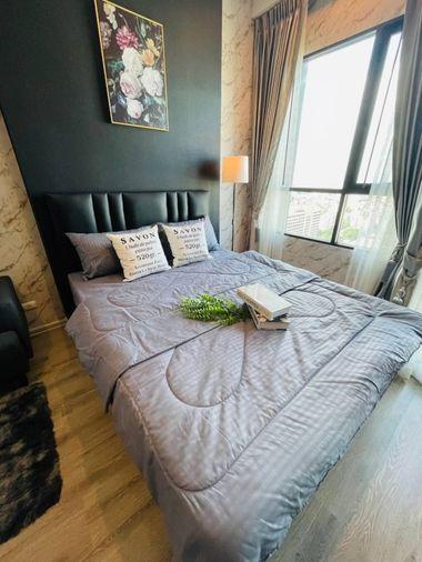 picture Condo for rent Condo Knightsbridge Collage Ramkhamhaeng - 12/17