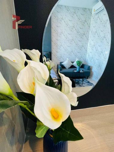 picture Condo for rent Condo Knightsbridge Collage Ramkhamhaeng - 4/17