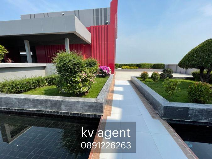 picture the zea Sriracha floor 9 35 sqm - 28/50