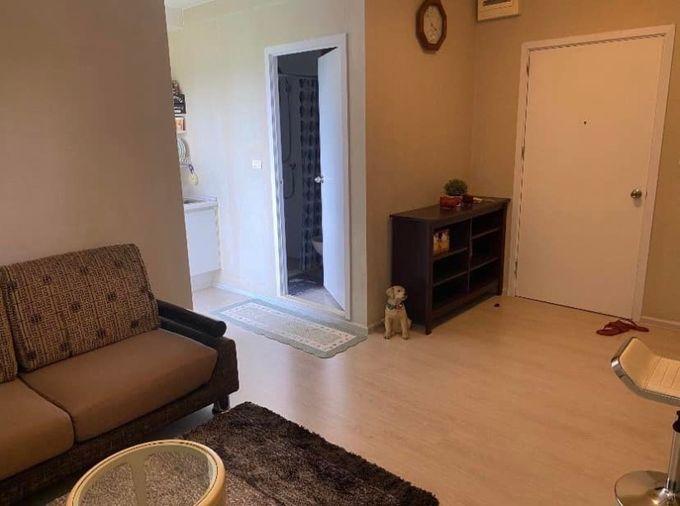 picture G 6671🚨中国客户，请加微信。(在联系方式的旁边) For rent Plum Condo Park Rangsit Line❤️💜@condopremium💜❤️ Ready to move in ⬛🟨 📞 065 695 3645🟨⬛ - 5/10