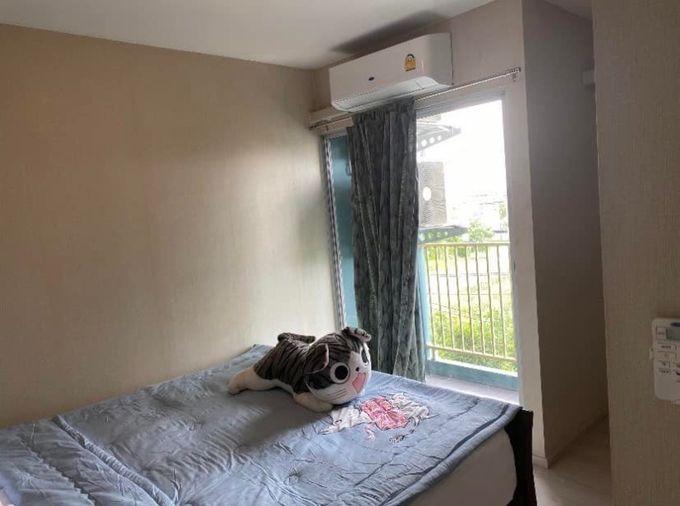 picture G 6671🚨中国客户，请加微信。(在联系方式的旁边) For rent Plum Condo Park Rangsit Line❤️💜@condopremium💜❤️ Ready to move in ⬛🟨 📞 065 695 3645🟨⬛ - 2/10