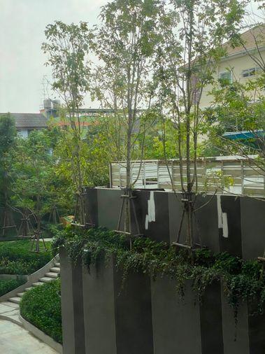 picture Condo for rent THE BASE Saphanmai Contact @propertybkk3 - 18/18