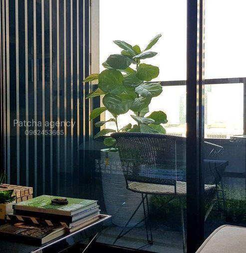 picture for rent M Silom. 1bed 52sq.m. Small dogs ok. Line id: @pfagent - 6/6