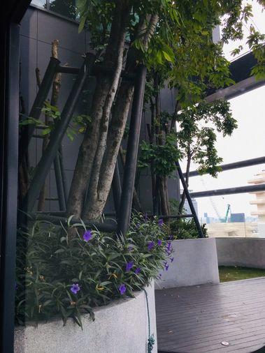 picture Q Chidlom-Phetchaburi     Size 63.32 sq m  1 bedroom, 1 bathroom  Floor 38-39  Duplex - 18/18