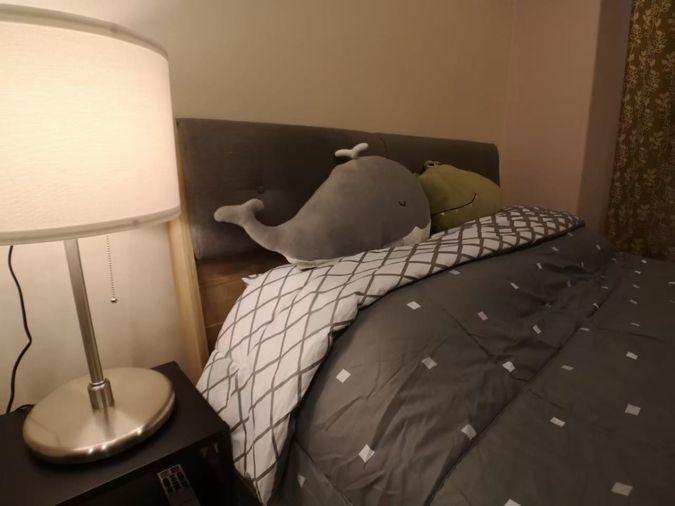 picture ++For rent #Plum Condo Central Station  #Beautiful room exactly as described  - 1/17