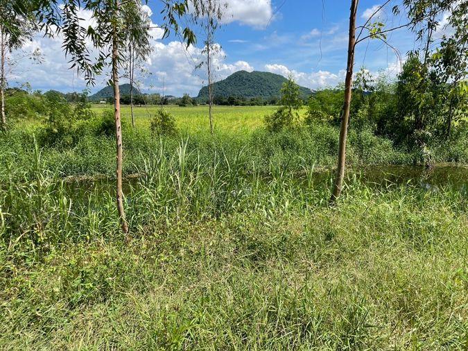 picture Land for sale, title deed, near Highway No. 21, only 1 km., Bueng Sam Phan District, Phetchabun., mountain views, very good air. - 4/18