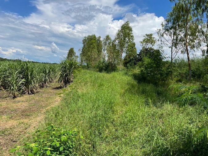picture Land for sale, title deed, near Highway No. 21, only 1 km., Bueng Sam Phan District, Phetchabun., mountain views, very good air. - 5/18