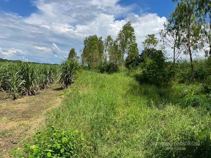 picture Land for sale, title deed, near Highway No. 21, only 1 km., Bueng Sam Phan District, Phetchabun., mountain views, very good air. - 5/18