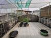 listing thumbnail image 39