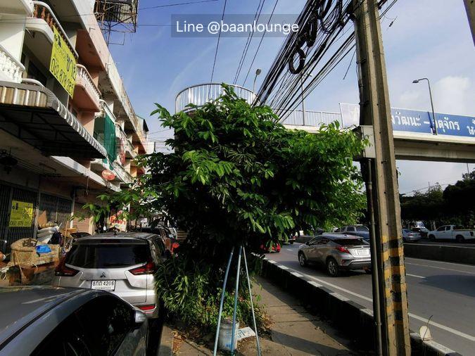 รูป ขายตึกแถว 4 ชั้น ครึ่ง รวมดาดฟ้า ติดถนนใหญ่บรมราชชนนี ใกล้หมู่บ้านอมรชัย 3 เยื้องๆบุญถาวร แถว พุทธมณฑล สาย 3 ศาลาธรรมสพน์ ทวีวัฒนา - รูปที่ 2/26
