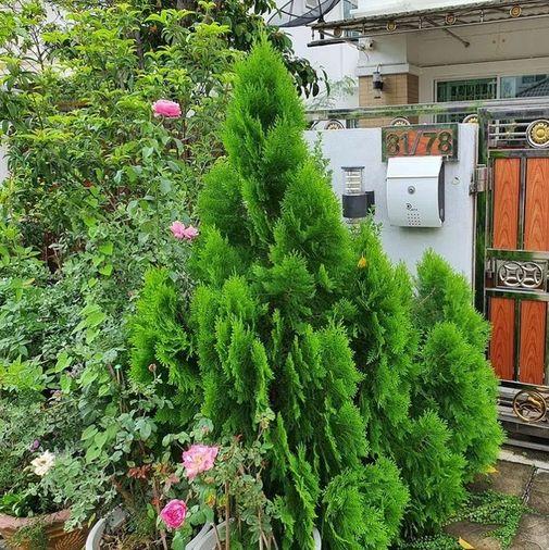 รูป ขายบ้าน จรัญสนิทวงศ์ ปิ่นเกล้า หมู่บ้านชวนชื่นโมดัส  - รูปที่ 6/13