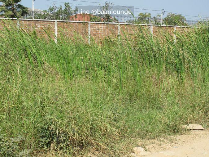 รูป ขายที่ดิน ซอยจตุโชติ 17 เนื้อที่: 1 ไร่ 68 ตรว - รูปที่ 5/5