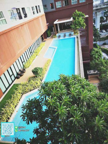 picture 🌸🌸 Hot Price 🌸🌸 For Sale* Special price Plum Condo Ramkhamhaeng Station - 17/19