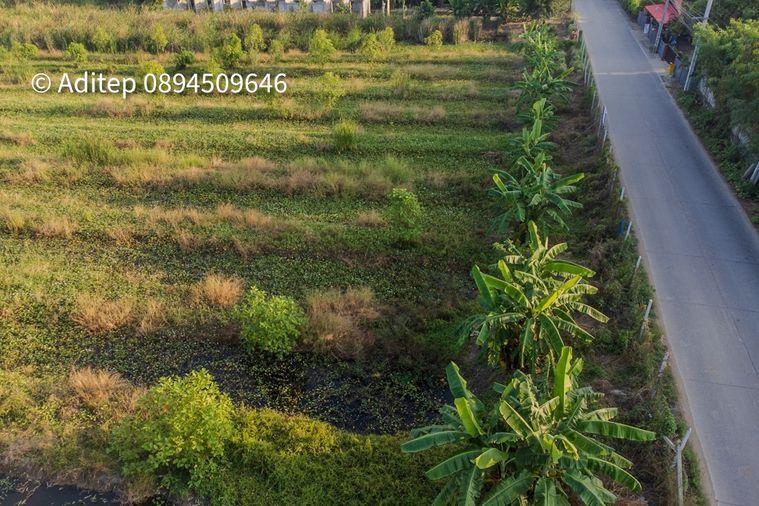 รูป ขายที่ดินราชพฤกษ์ เกือบ 9 ไร่ ที่ดินใกล้รถไฟฟ้าสายสีม่วง สถานีบางรักใหญ่ บางบัวทอง เข้าออกได้ 2 ทาง ทั้งทางถนนรัตนาธิเบศร์ และถนนราชพฤกษ์ - รูปที่ 21/24