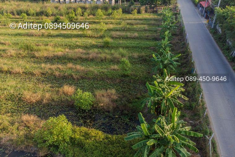 รูป ขายที่ดินราชพฤกษ์ เกือบ 9 ไร่ ที่ดินใกล้รถไฟฟ้าสายสีม่วง สถานีบางรักใหญ่ บางบัวทอง เข้าออกได้ 2 ทาง ทั้งทางถนนรัตนาธิเบศร์ และถนนราชพฤกษ์ - รูปที่ 21/24