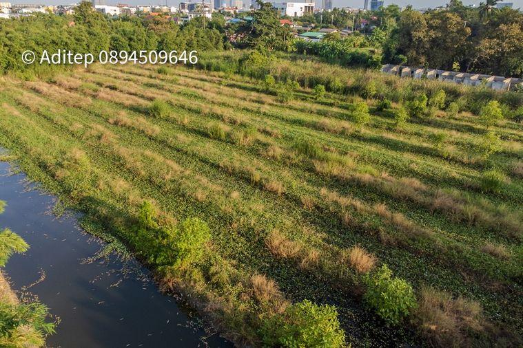 รูป ขายที่ดินราชพฤกษ์ เกือบ 9 ไร่ ที่ดินใกล้รถไฟฟ้าสายสีม่วง สถานีบางรักใหญ่ บางบัวทอง เข้าออกได้ 2 ทาง ทั้งทางถนนรัตนาธิเบศร์ และถนนราชพฤกษ์ - รูปที่ 9/24