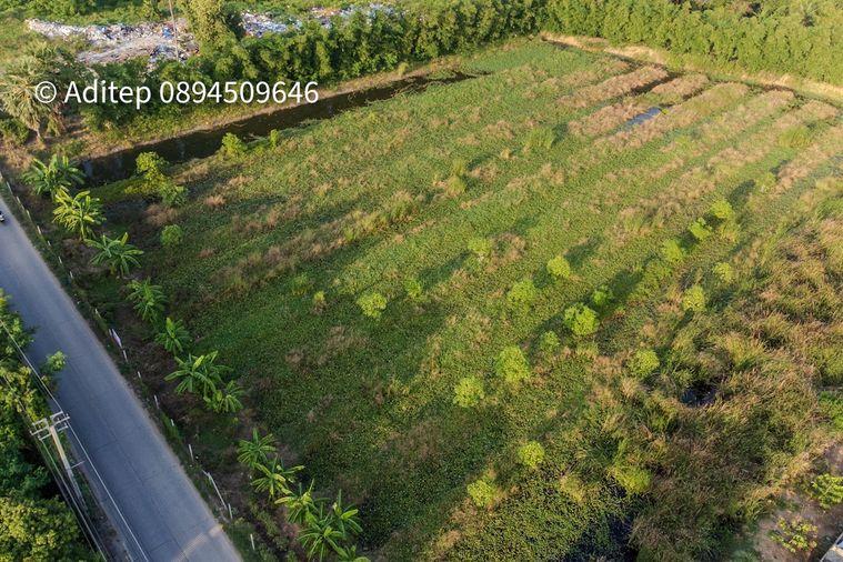 รูป ขายที่ดินราชพฤกษ์ เกือบ 9 ไร่ ที่ดินใกล้รถไฟฟ้าสายสีม่วง สถานีบางรักใหญ่ บางบัวทอง เข้าออกได้ 2 ทาง ทั้งทางถนนรัตนาธิเบศร์ และถนนราชพฤกษ์ - รูปที่ 23/24