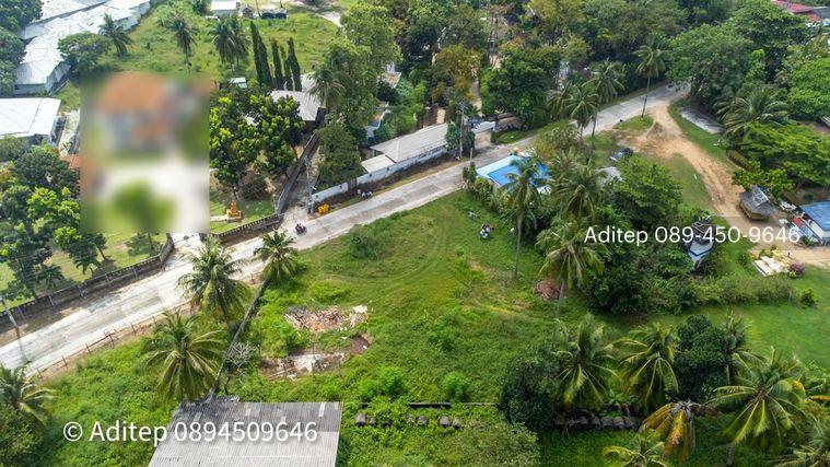 รูป ขายที่ดิน เกาะพะงัน สุราษฎร์ธานี โฉนด 1 ไร่ ติดถนนเลียบชายหาด ใกล้ทะเล ใกล้ท่าเรือท้องศาลา - รูปที่ 14/23