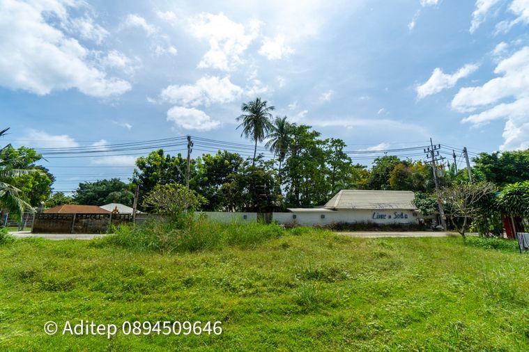 รูป ขายที่ดิน เกาะพะงัน สุราษฎร์ธานี โฉนด 1 ไร่ ติดถนนเลียบชายหาด ใกล้ทะเล ใกล้ท่าเรือท้องศาลา - รูปที่ 18/23