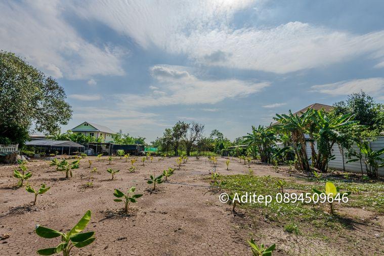 รูป ขายที่ดินราชพฤกษ์ 1 ไร่ 240 ตรว. ซอยบางขนุน 5 หลัง The Walk ราชพฤกษ์ ใกล้วงเวียนพระราม 5 เข้าออกได้ 2 ทาง ทั้งทางถนนนครอินท์ และถนนราชพฤกษ์ - รูปที่ 9/32