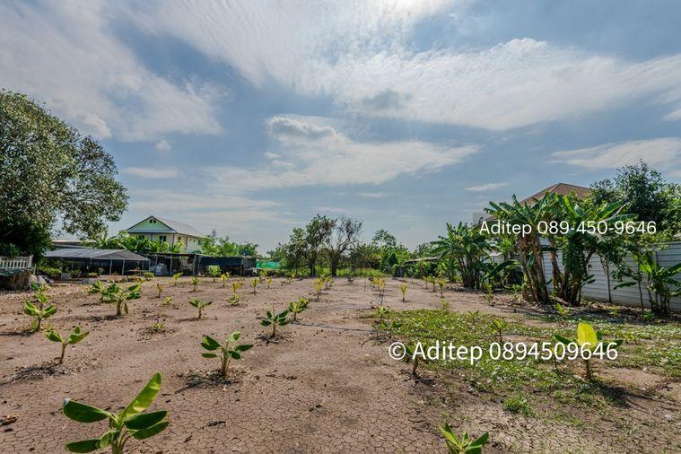 รูป ขายที่ดินราชพฤกษ์ 1 ไร่ 240 ตรว. ซอยบางขนุน 5 หลัง The Walk ราชพฤกษ์ ใกล้วงเวียนพระราม 5 เข้าออกได้ 2 ทาง ทั้งทางถนนนครอินท์ และถนนราชพฤกษ์ - รูปที่ 9/32