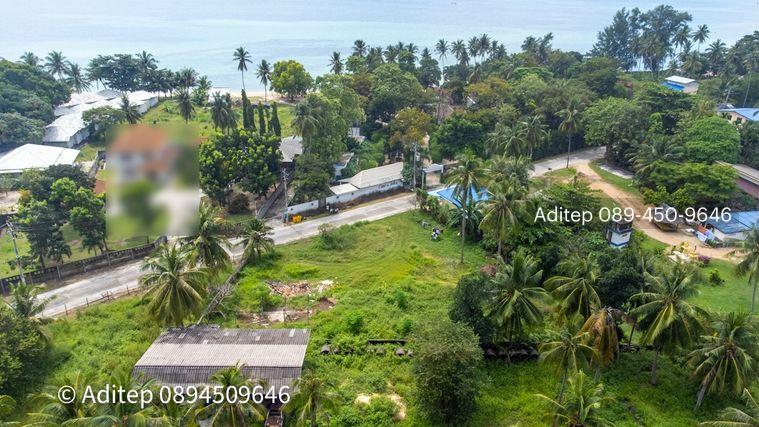 รูป ขายที่ดิน เกาะพะงัน สุราษฎร์ธานี โฉนด 1 ไร่ ติดถนนเลียบชายหาด ใกล้ทะเล ใกล้ท่าเรือท้องศาลา - รูปที่ 13/23