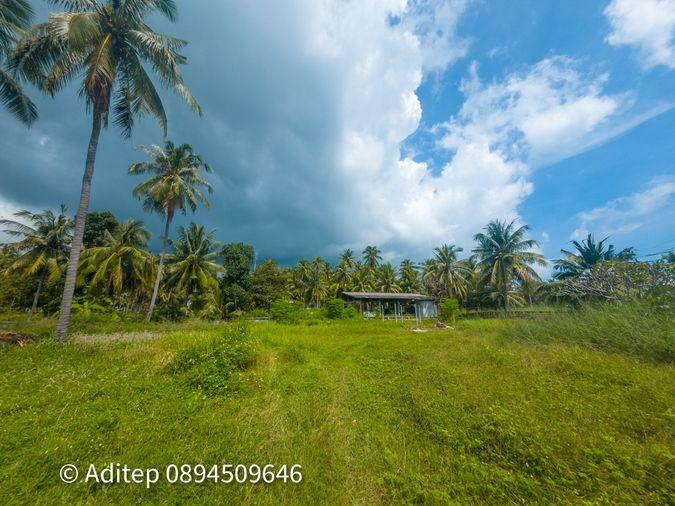 รูป ขายที่ดิน เกาะพะงัน สุราษฎร์ธานี โฉนด 1 ไร่ ติดถนนเลียบชายหาด ใกล้ทะเล ใกล้ท่าเรือท้องศาลา - รูปที่ 8/23