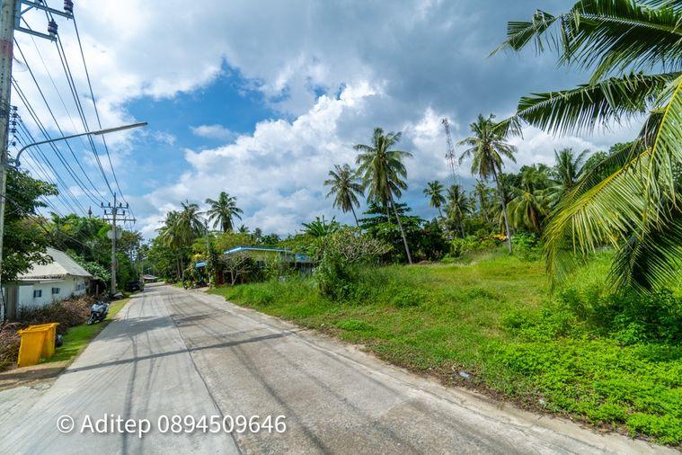 รูป ขายที่ดิน เกาะพะงัน สุราษฎร์ธานี โฉนด 1 ไร่ ติดถนนเลียบชายหาด ใกล้ทะเล ใกล้ท่าเรือท้องศาลา - รูปที่ 21/23