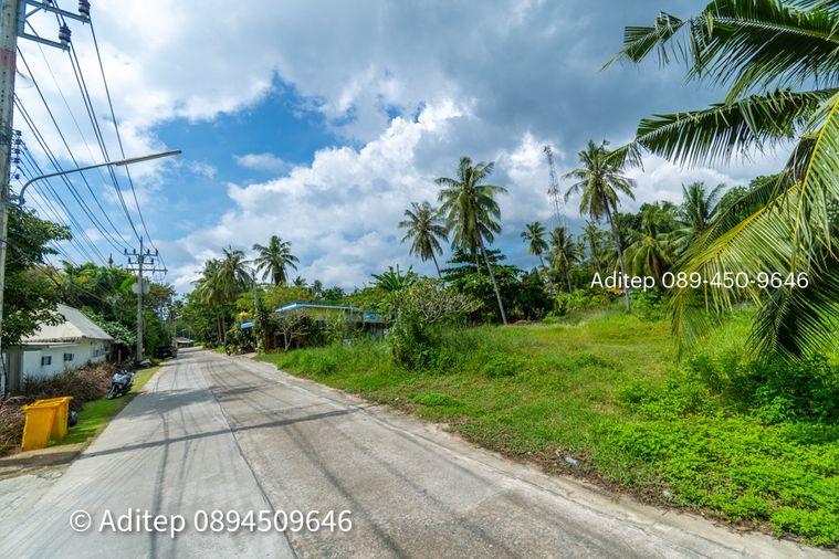รูป ขายที่ดิน เกาะพะงัน สุราษฎร์ธานี โฉนด 1 ไร่ ติดถนนเลียบชายหาด ใกล้ทะเล ใกล้ท่าเรือท้องศาลา - รูปที่ 21/23