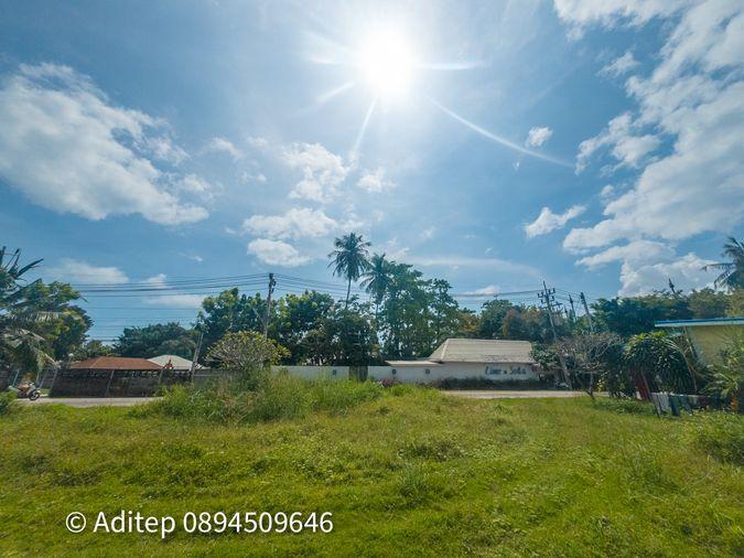 รูป ขายที่ดิน เกาะพะงัน สุราษฎร์ธานี โฉนด 1 ไร่ ติดถนนเลียบชายหาด ใกล้ทะเล ใกล้ท่าเรือท้องศาลา - รูปที่ 9/23