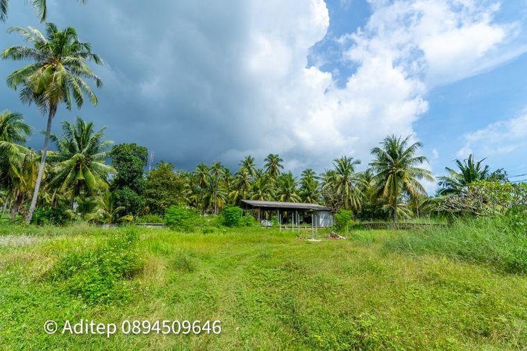 รูป ขายที่ดิน เกาะพะงัน สุราษฎร์ธานี โฉนด 1 ไร่ ติดถนนเลียบชายหาด ใกล้ทะเล ใกล้ท่าเรือท้องศาลา - รูปที่ 17/23