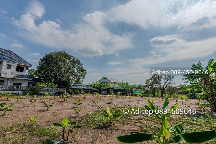 รูป ขายที่ดินราชพฤกษ์ 1 ไร่ 240 ตรว. ซอยบางขนุน 5 หลัง The Walk ราชพฤกษ์ ใกล้วงเวียนพระราม 5 เข้าออกได้ 2 ทาง ทั้งทางถนนนครอินท์ และถนนราชพฤกษ์ - รูปที่ 8/32