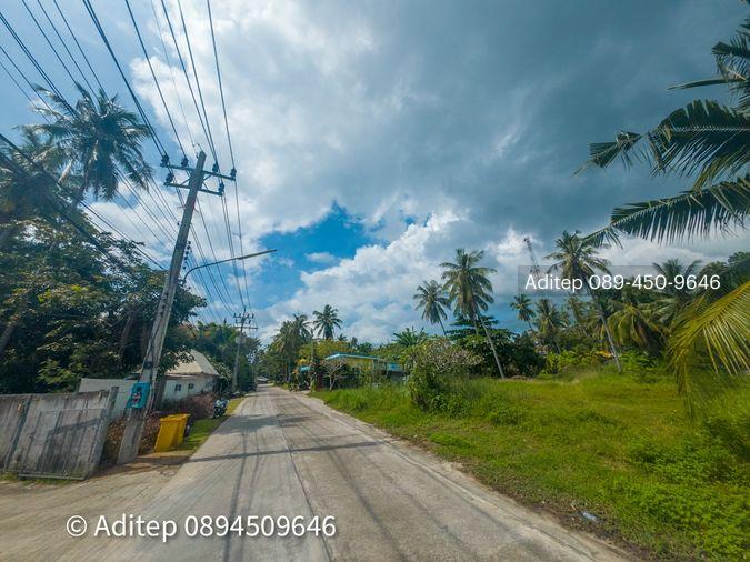 รูป ขายที่ดิน เกาะพะงัน สุราษฎร์ธานี โฉนด 1 ไร่ ติดถนนเลียบชายหาด ใกล้ทะเล ใกล้ท่าเรือท้องศาลา - รูปที่ 10/23
