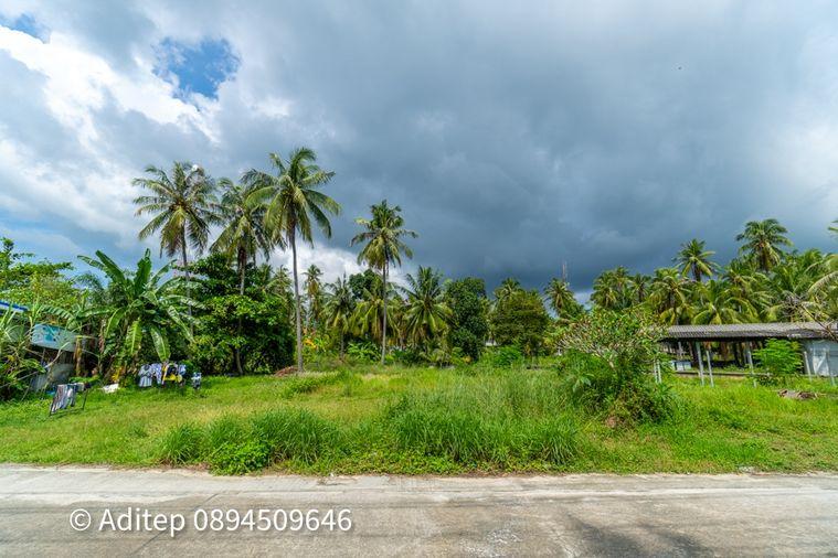 รูป ขายที่ดิน เกาะพะงัน สุราษฎร์ธานี โฉนด 1 ไร่ ติดถนนเลียบชายหาด ใกล้ทะเล ใกล้ท่าเรือท้องศาลา - รูปที่ 15/23