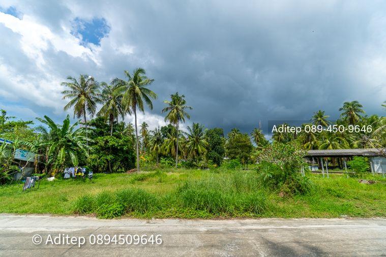 รูป ขายที่ดิน เกาะพะงัน สุราษฎร์ธานี โฉนด 1 ไร่ ติดถนนเลียบชายหาด ใกล้ทะเล ใกล้ท่าเรือท้องศาลา - รูปที่ 15/23