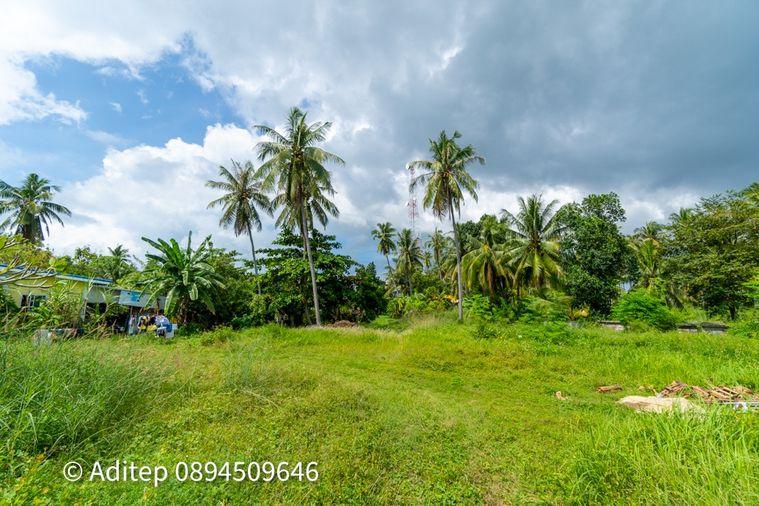รูป ขายที่ดิน เกาะพะงัน สุราษฎร์ธานี โฉนด 1 ไร่ ติดถนนเลียบชายหาด ใกล้ทะเล ใกล้ท่าเรือท้องศาลา - รูปที่ 19/23