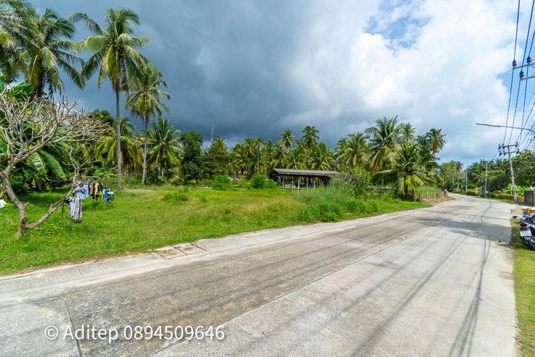 รูป ขายที่ดิน เกาะพะงัน สุราษฎร์ธานี โฉนด 1 ไร่ ติดถนนเลียบชายหาด ใกล้ทะเล ใกล้ท่าเรือท้องศาลา - รูปที่ 16/23