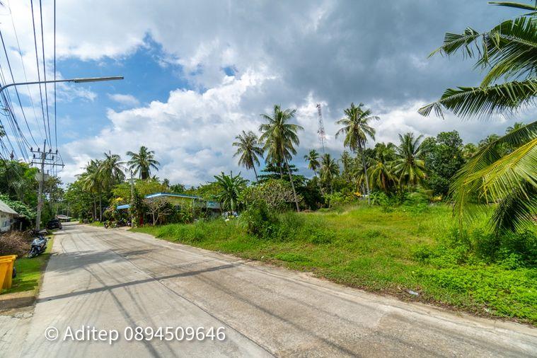 รูป ขายที่ดิน เกาะพะงัน สุราษฎร์ธานี โฉนด 1 ไร่ ติดถนนเลียบชายหาด ใกล้ทะเล ใกล้ท่าเรือท้องศาลา - รูปที่ 20/23
