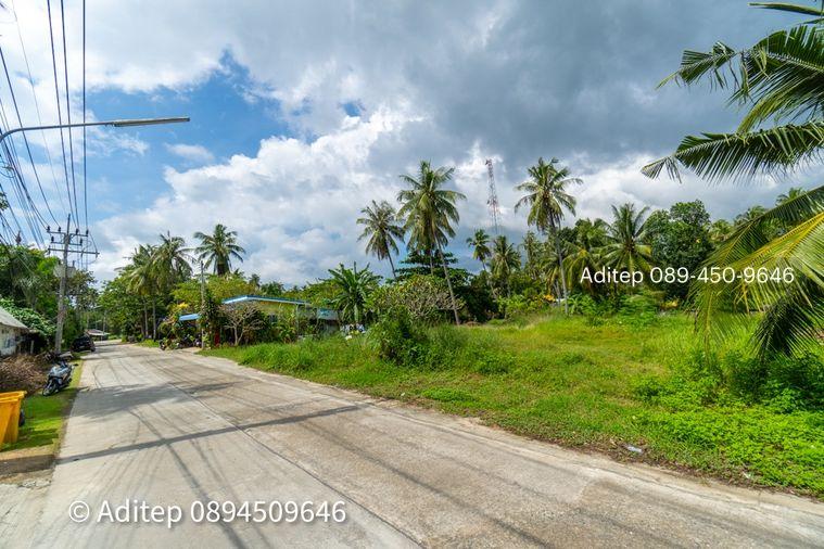 รูป ขายที่ดิน เกาะพะงัน สุราษฎร์ธานี โฉนด 1 ไร่ ติดถนนเลียบชายหาด ใกล้ทะเล ใกล้ท่าเรือท้องศาลา - รูปที่ 20/23