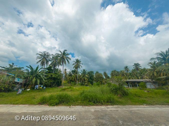 รูป ขายที่ดิน เกาะพะงัน สุราษฎร์ธานี โฉนด 1 ไร่ ติดถนนเลียบชายหาด ใกล้ทะเล ใกล้ท่าเรือท้องศาลา - รูปที่ 5/23