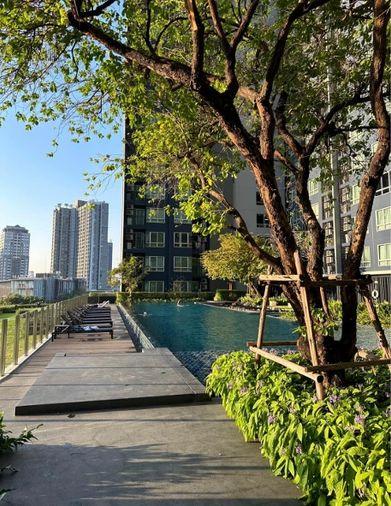 รูป ให้เช่า📌The Base Sukhumvit 77📌 เดินทางสะดวกใกล้ BTS อ่อนนุช เฟอร์นิเจอร์เครื่องใช้ไฟฟ้าครบ - รูปที่ 11/11