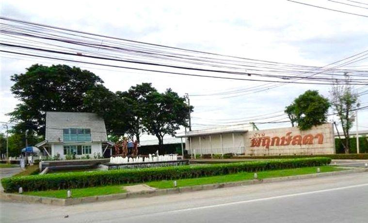 รูป ขายด่วน‼️บ้านเดี่ยว หมู่บ้านพฤกษ์ลดา ราชพฤกษ์ - ติวานนท์ 52 ตร.ว. 4 นอน 2 น้ำ 1 ห้องทำงาน จอดรถ 2 คัน / ต่อเติมห้องรับแขกและห้องครัวเพิ่ม ทำใหม่  - รูปที่ 39/39