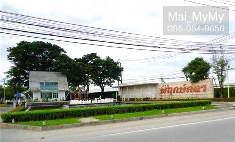 รูป ขายด่วน‼️บ้านเดี่ยว หมู่บ้านพฤกษ์ลดา ราชพฤกษ์ - ติวานนท์ 52 ตร.ว. 4 นอน 2 น้ำ 1 ห้องทำงาน จอดรถ 2 คัน / ต่อเติมห้องรับแขกและห้องครัวเพิ่ม ทำใหม่ - รูปที่ 39/39