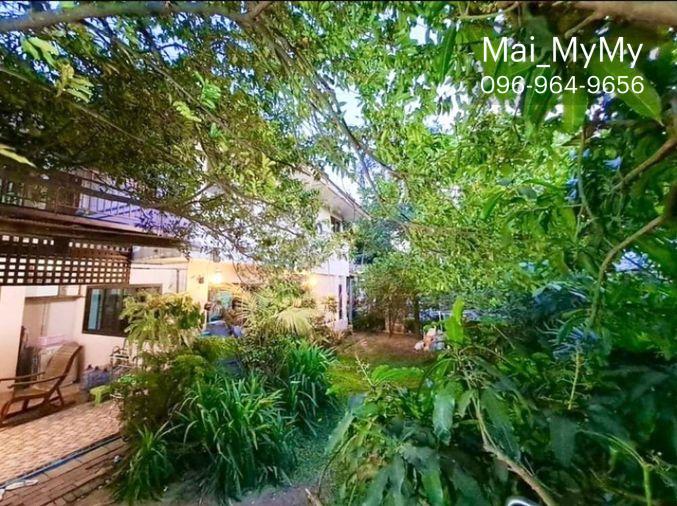 รูป ขายด่วน‼️บ้านเดี่ยวบรรยากาศดี หลังบ้านติดคลอง สไตล์คาเฟ่ /บ้านสวนริมคลอง 🌳ม.ศุภาลัยออร์คิดปาร์ค 2 ซ.บางแวก 81 ขนาด 80 วา 3 นอน 2 น้ำ - รูปที่ 13/28