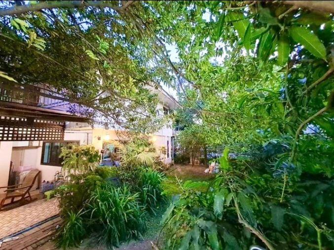 รูป ขายด่วน‼️บ้านเดี่ยวบรรยากาศดี หลังบ้านติดคลอง สไตล์คาเฟ่ /บ้านสวนริมคลอง 🌳ม.ศุภาลัยออร์คิดปาร์ค 2 ซ.บางแวก 81 ขนาด 80 วา 3 นอน 2 น้ำ - รูปที่ 15/28