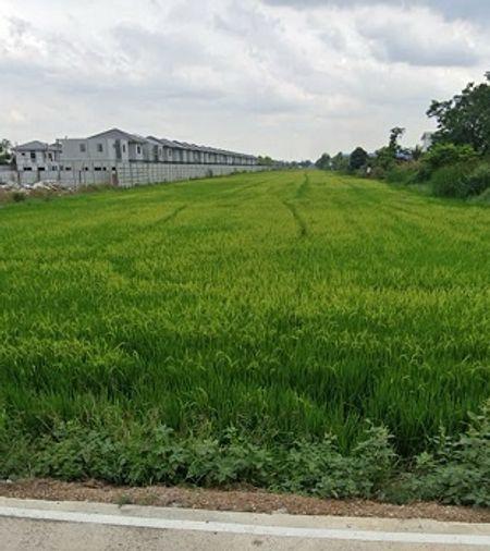 รูป ขายที่ดินคลองสอง คลองหลวง ปทุมธานี แปลงสวย รูปสี่เหลี่ยมผืนผ้า ขนาด 13-2-77 ไร่ - รูปที่ 6/6
