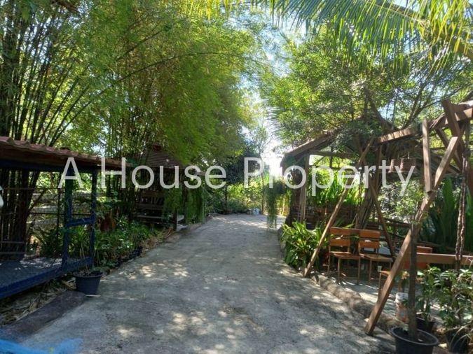รูป ขายที่ดิน ศรีราชา หนองขาม ติดถนน 3241 ใกล้สวนเสือ ศรีราชา ชลบุรี - รูปที่ 7/8