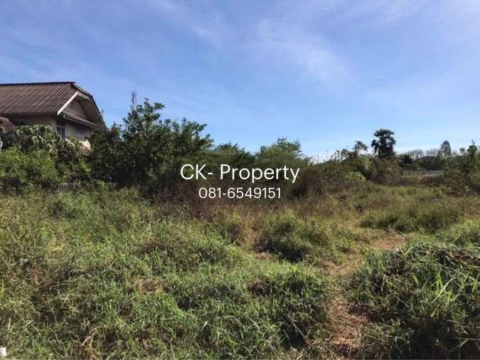 picture Land for sale! Urban location at Udonthani 081-6549151 - 4/4